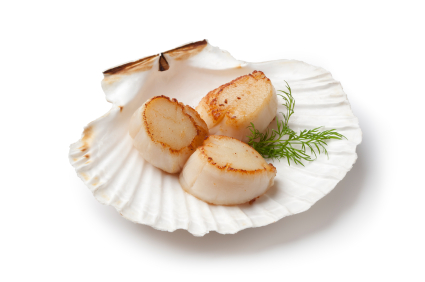 selenium benefits, the highest concentrations of selenium are found in meat, seafood and whole grain cereals - here scallops