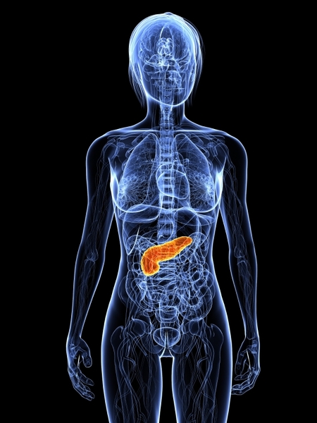 Pancreas is the insulin producing organ in the body