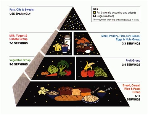 1992 USDA Food Pyramid - the Shape Before MyPlate came along