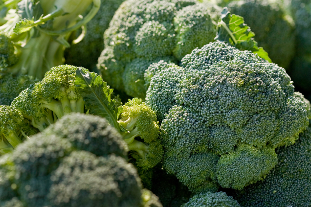 Benefits of Magnesium - Brocolli and other green leafies are good sources of magnesium